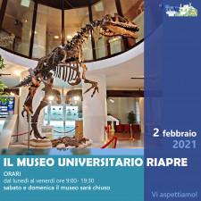 Riapertura Museo universitario di Chieti