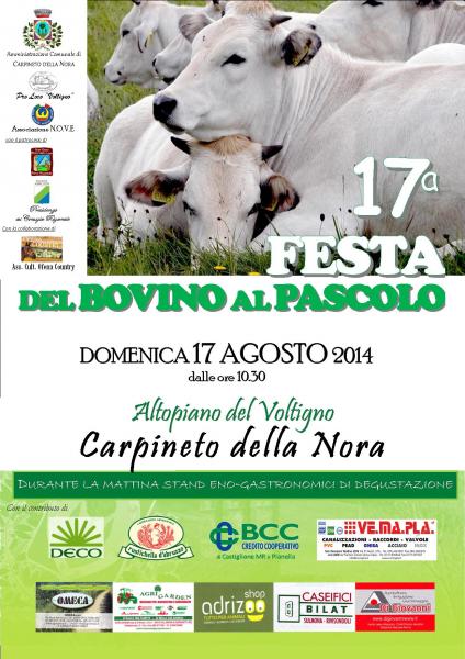 Festa del BOVINO AL PASCOLO