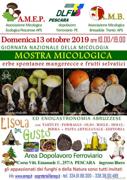 Mostra Micologica