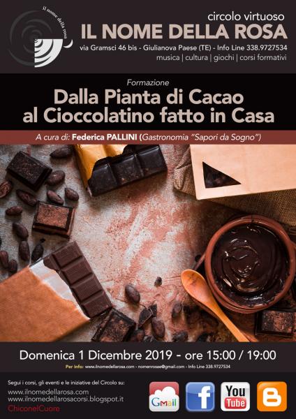 DALLA PIANTA DI CACAO AL CIOCCOLATINO FATTO IN CASA