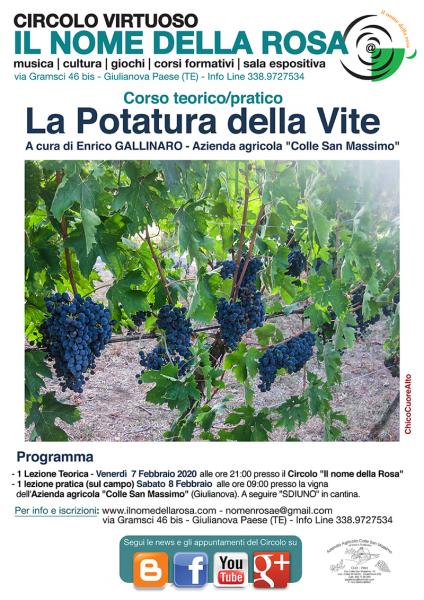 LA POTATURA DELLA VITE  CORSO TEORICO/PRATICO