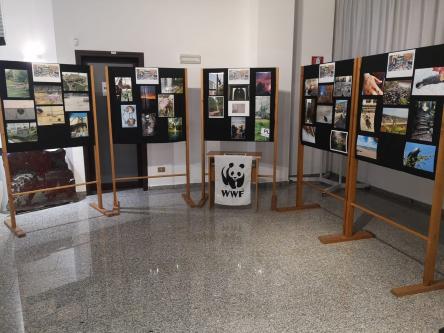 Mostra fotografica 