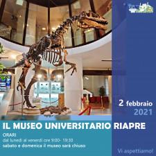 Riapertura Museo universitario di Chieti