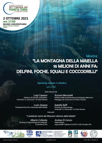 Mostra “La montagna della Maiella 16 milioni di anni fa: delfini, foche, squali e coccodrilli”