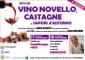 FESTA DEL NOVELLO E CASTAGNE