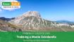 Trekking a Monte Scindarella